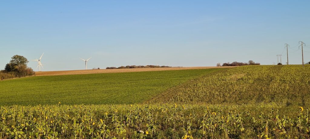 Étendues d'intercultures dans un territoire d'énergies vertes